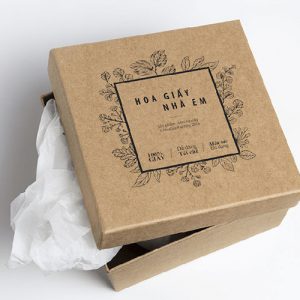 mau-hop-giay-300x300